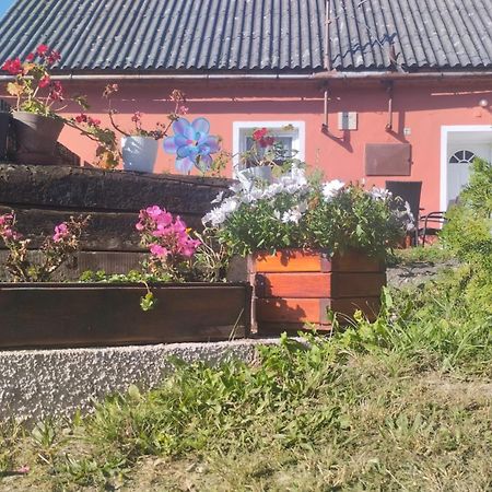 Leskovec Nad Moravici Ubytovani U Machaluヴィラ エクステリア 写真