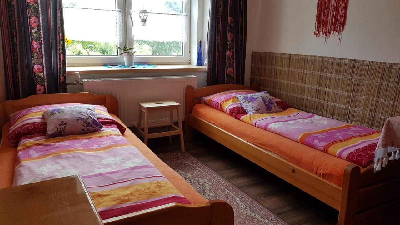Leskovec Nad Moravici Ubytovani U Machaluヴィラ エクステリア 写真