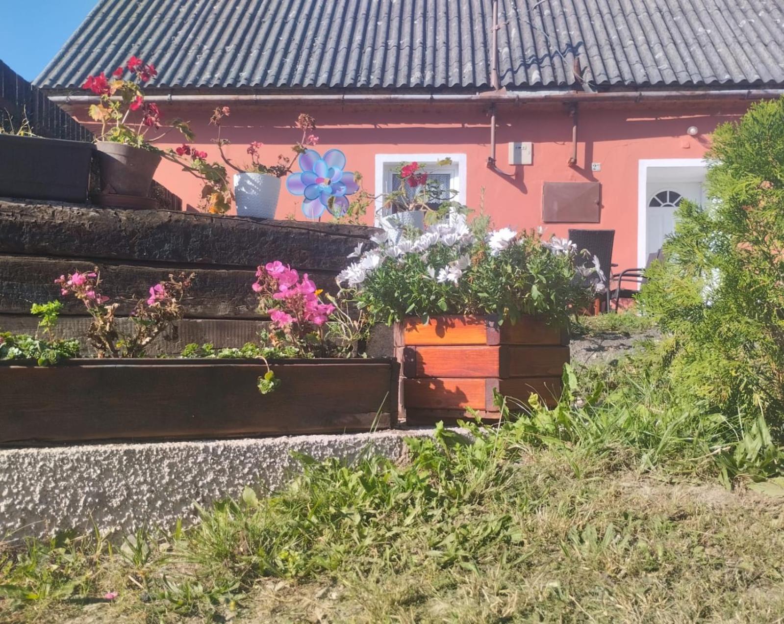 Leskovec Nad Moravici Ubytovani U Machaluヴィラ エクステリア 写真